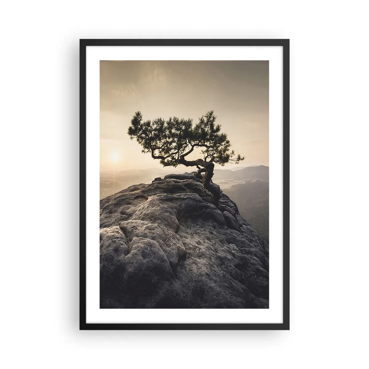 Poster în ramă neagră - Un copac singuratic pe un vârf stâncos în lumina soarelui care apune - 50x70cm - Viața învinge întotdeauna - Decorațiune modernă pentru perete pentru living și dormitor ARTTOR