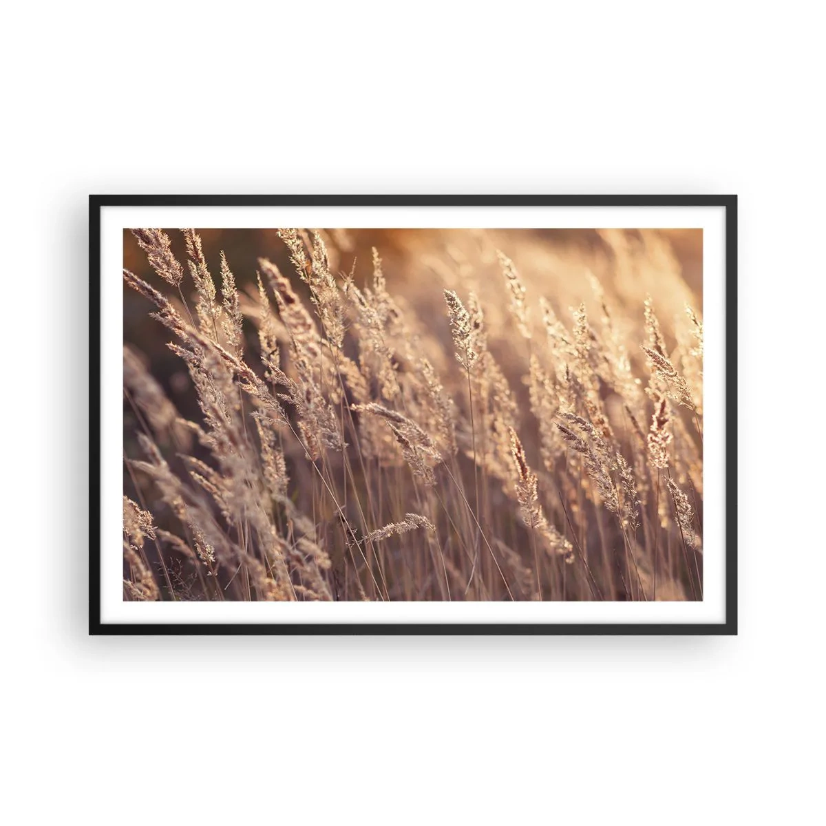 Poster în ramă neagră - Gata să întâmpine toamna - 91x61 cm