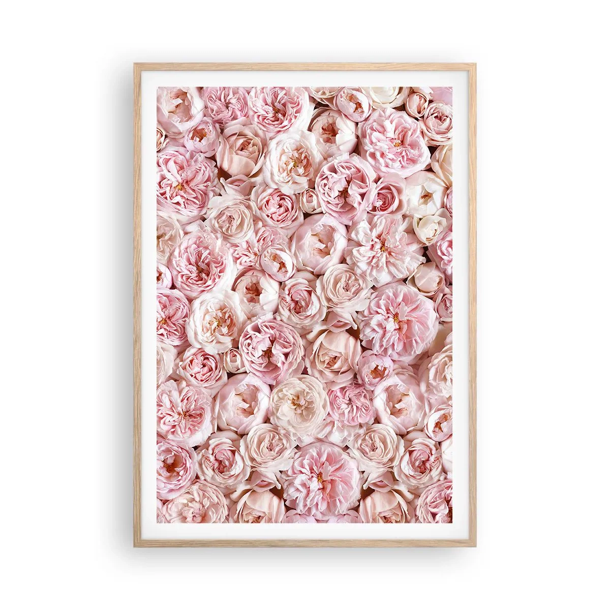Poster în ramă de stejar deschis - Presărat cu trandafiri - 70x100 cm