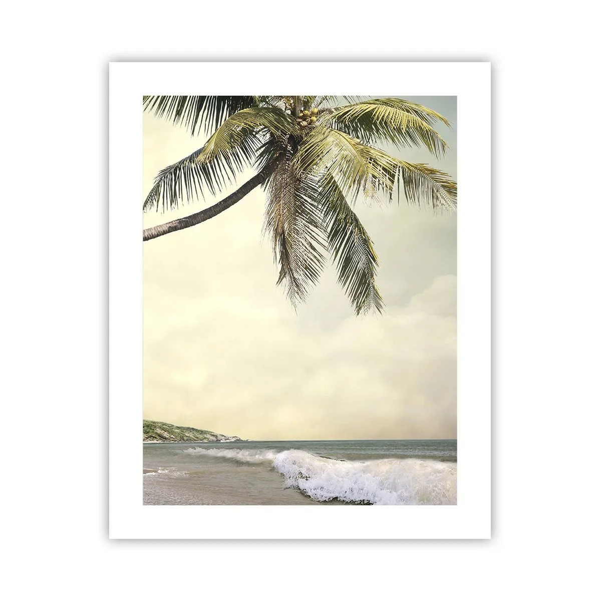 Poster - Vis tropical - 40x50 cm