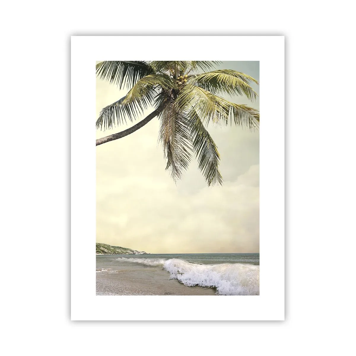 Poster - Vis tropical - 30x40 cm