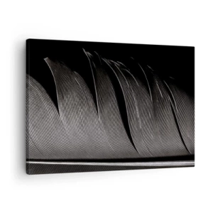 Tablou pe pânză Canvas - Textură de pene alb-negru într-un stil minimalist - 70x50cm - Pana - o construcție minunată - Decorațiune modernă pentru perete pentru living și dormitor ARTTOR