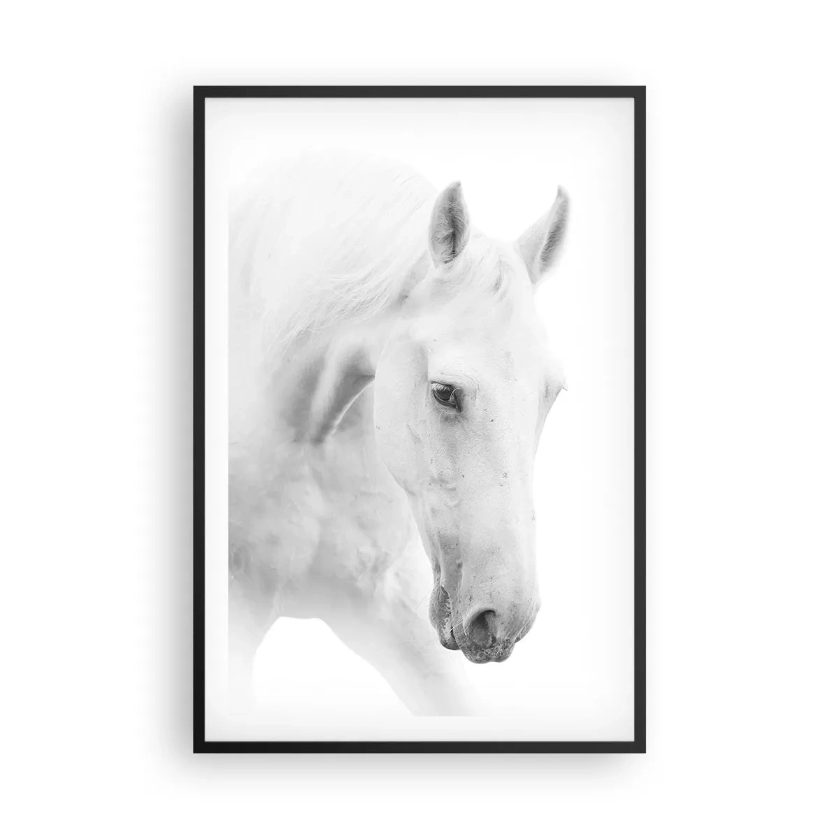Poster în ramă neagră - Este aceasta o prietenie...? - 61x91 cm