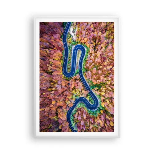 Poster în ramă albă - Un drum șerpuit prin pădure - 70x100 cm