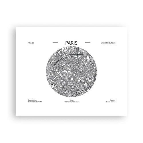 Poster - Anatomia Parisului - 50x40 cm
