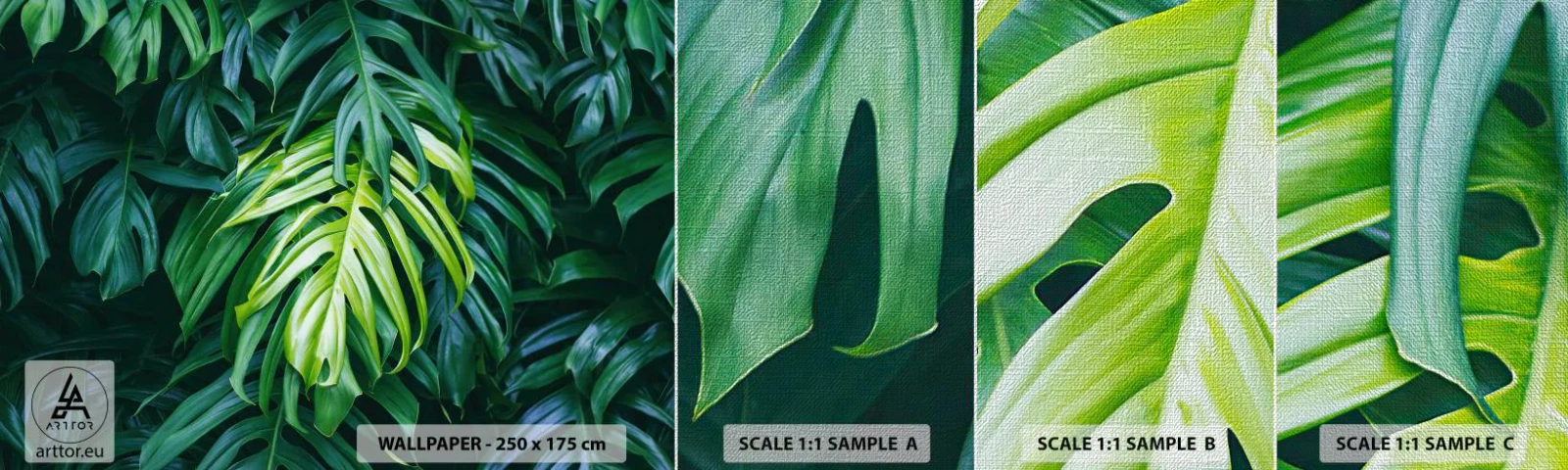 Mostră tapet Premium Canvas - Scufundă-te în prospețime - Planta tropicala, Frunza de monstera, Natură - 100x30 cm