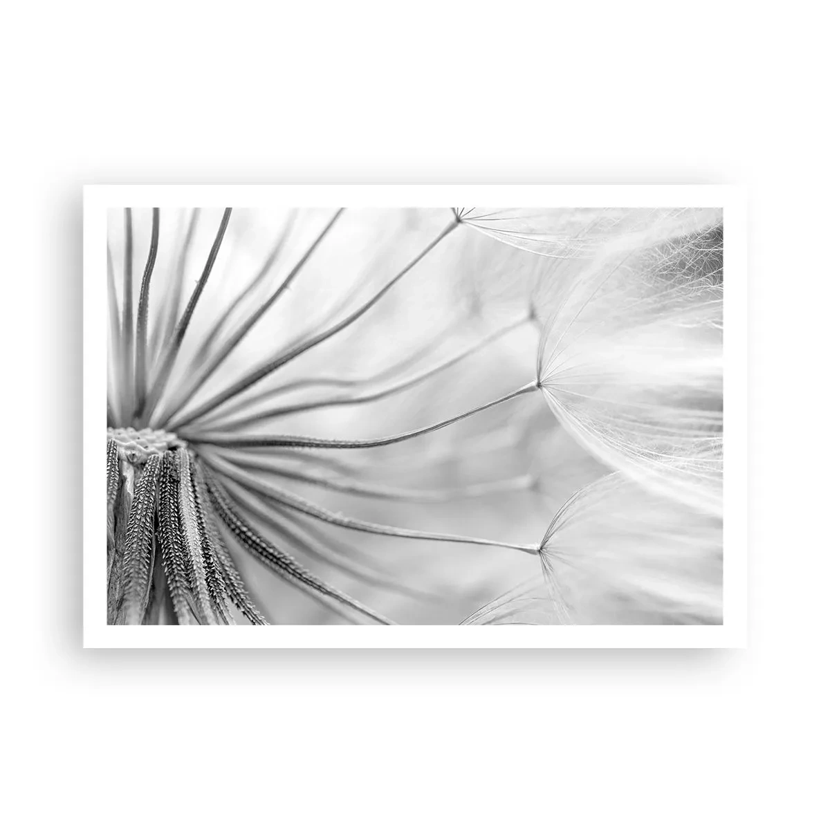 Poster - Suflarea zmeilor - 100x70 cm