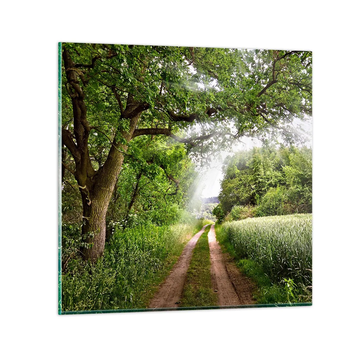 Tablou pe sticlă - Et in Arcadia ego - 50x50 cm