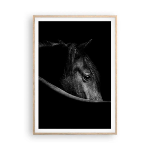 Poster în ramă de stejar deschis - Prințul negru - 70x100 cm