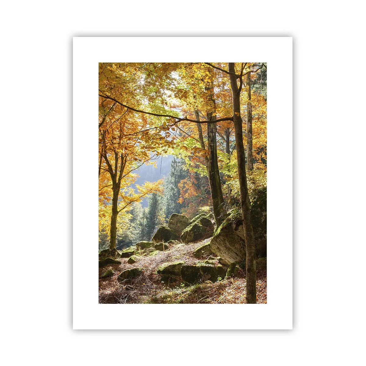Poster - Timp de relaxare - 30x40 cm