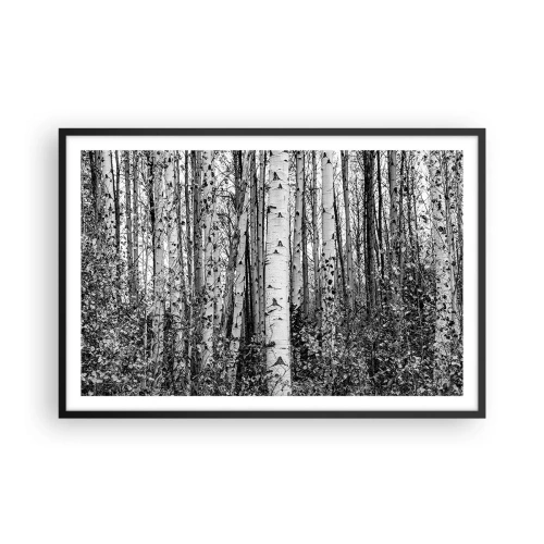 Poster în ramă neagră - Coloane de mesteacăn - 91x61 cm