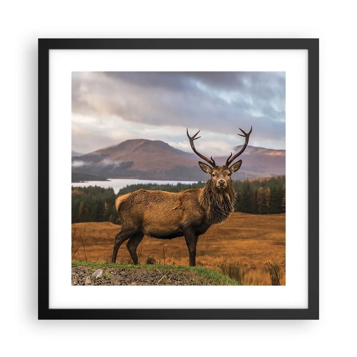 Poster în ramă neagră - Măreția naturii - 40x40 cm