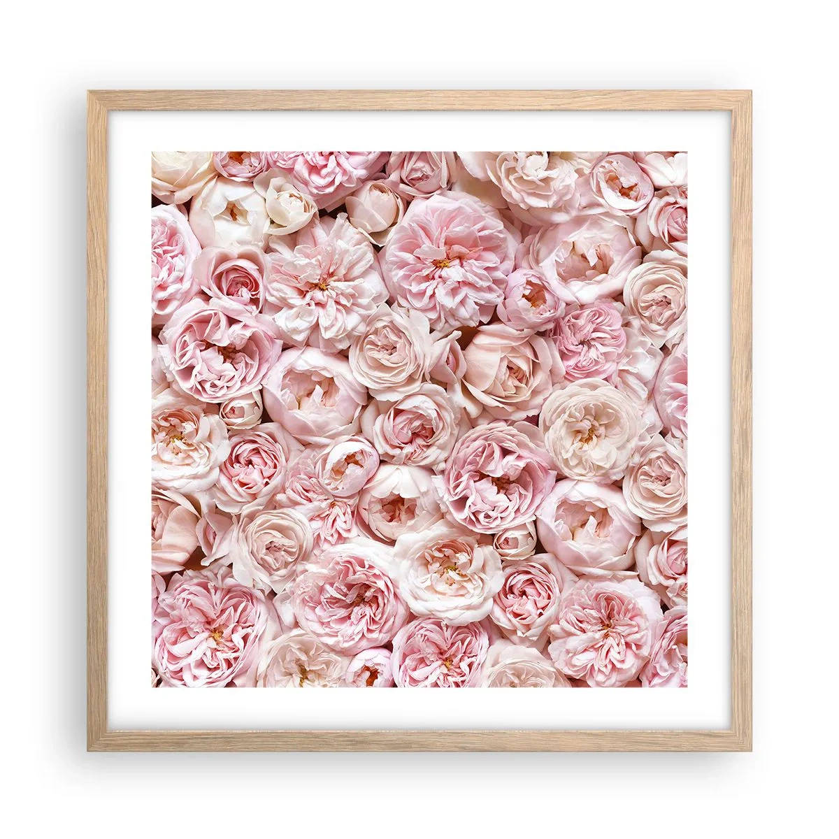 Poster în ramă de stejar deschis - Presărat cu trandafiri - 50x50 cm
