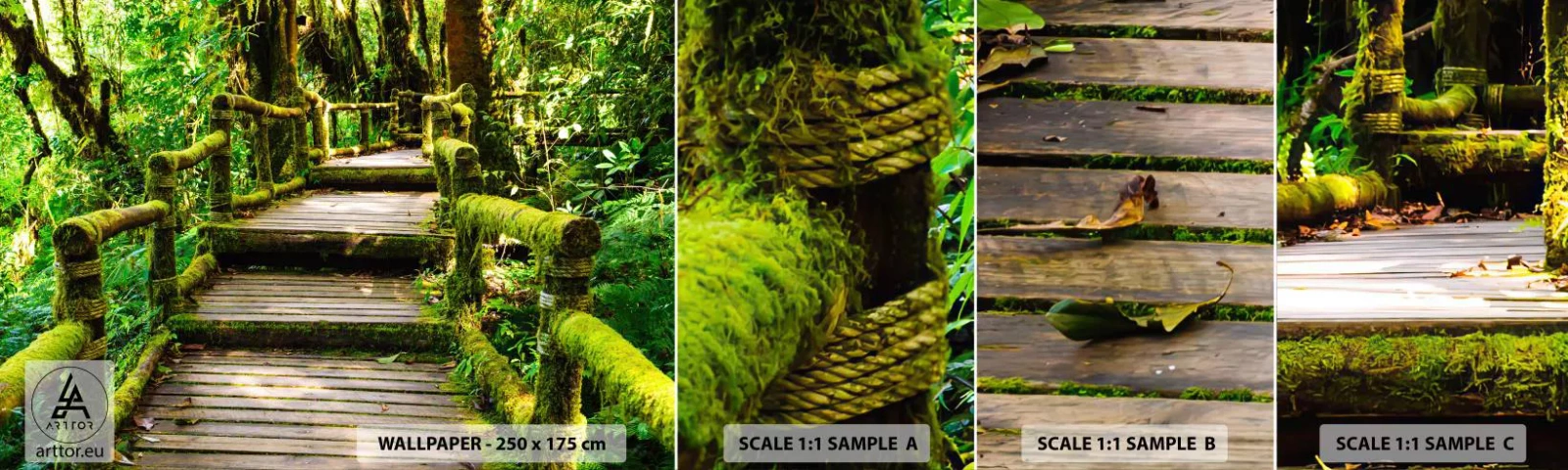 Mostră de Tapet Standard Eco - Coridorul verde - Natură, Peisaj, pădure - 100x30 cm