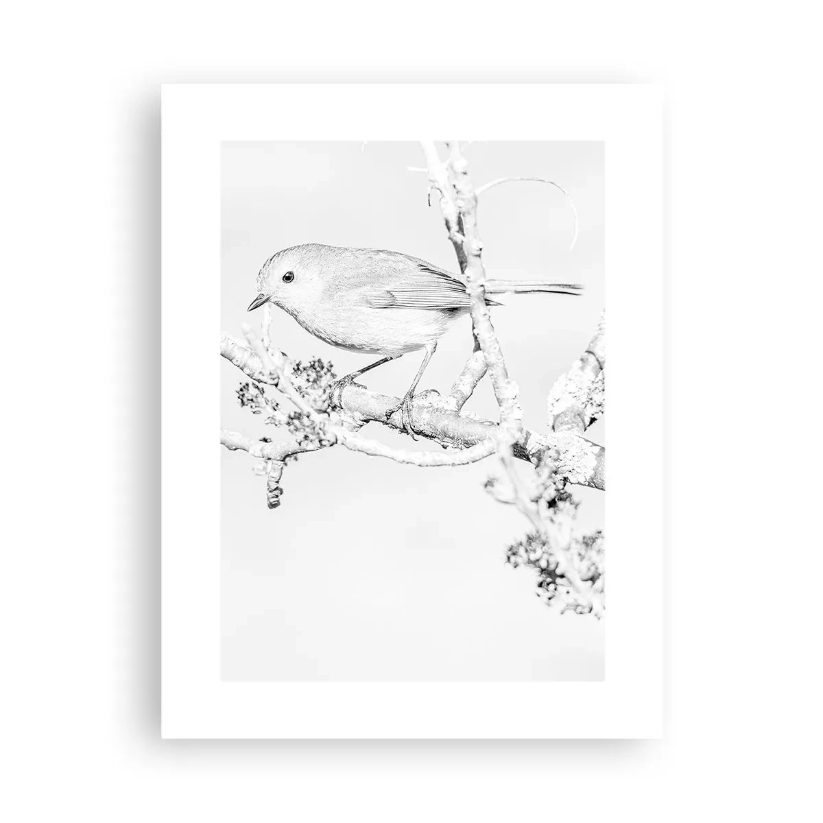 Poster - Dimineață de iarnă - 30x40 cm