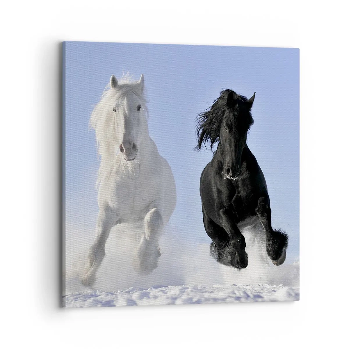 Tablou pe pânză - Galop de alb și negru - 70x70 cm