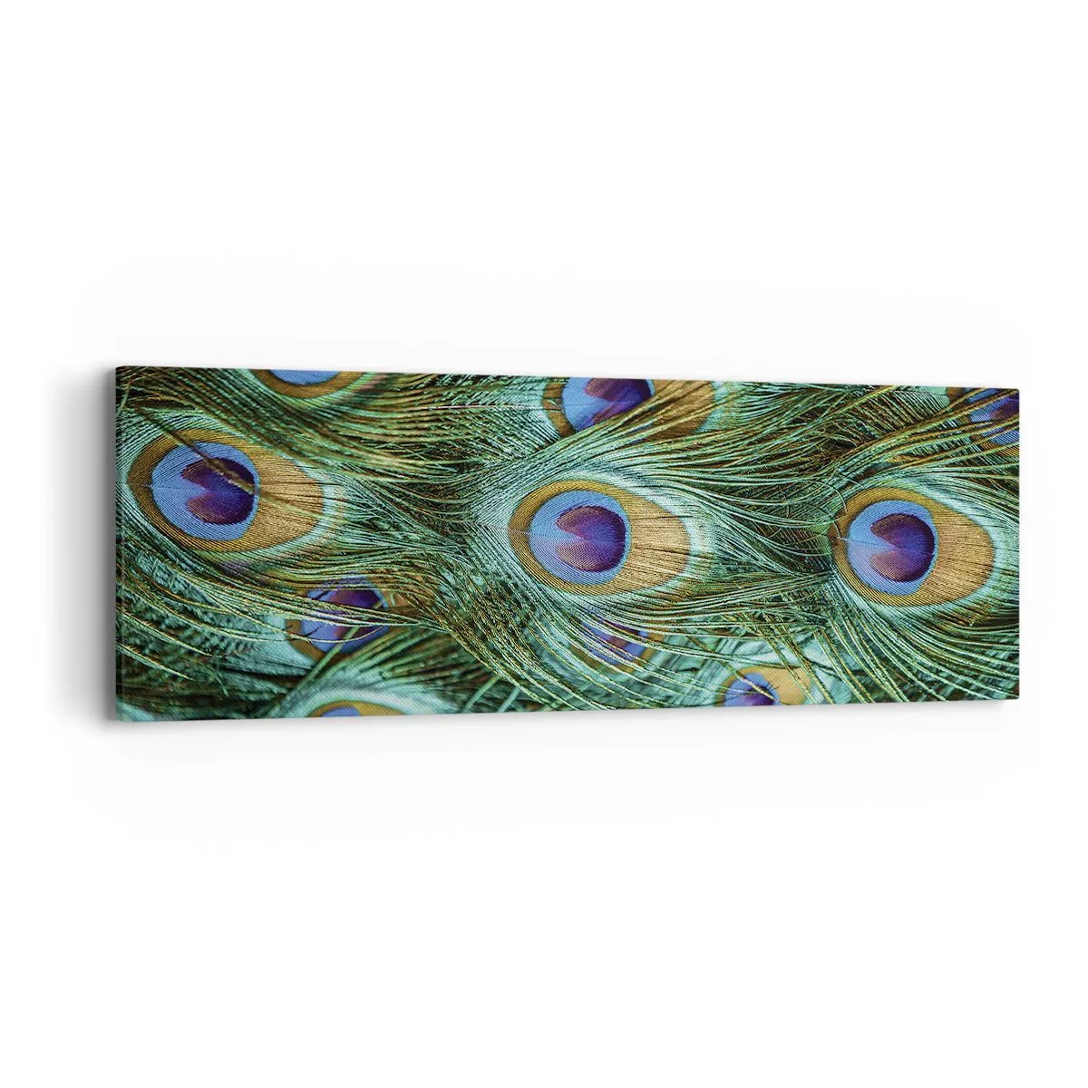 Tablou pe pânză - O privire cu ochi de păun - 90x30 cm