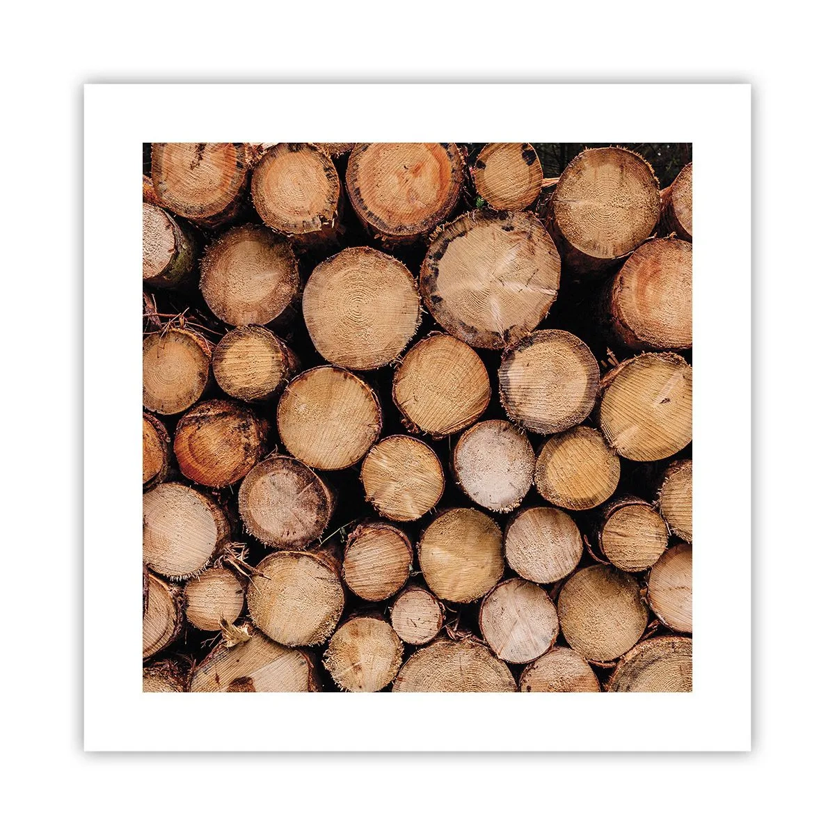 Poster - Un nou început - 40x40 cm