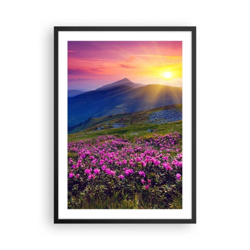 Poster în ramă neagră - Panoramă montană cu rododendroni înfloriți și apus de soare - 50x70cm - ... Și peste tot în jur se simte un miros de jneapăn și parfum de ierburi... - Decorațiune modernă pentru perete pentru living și dormitor ARTTOR
