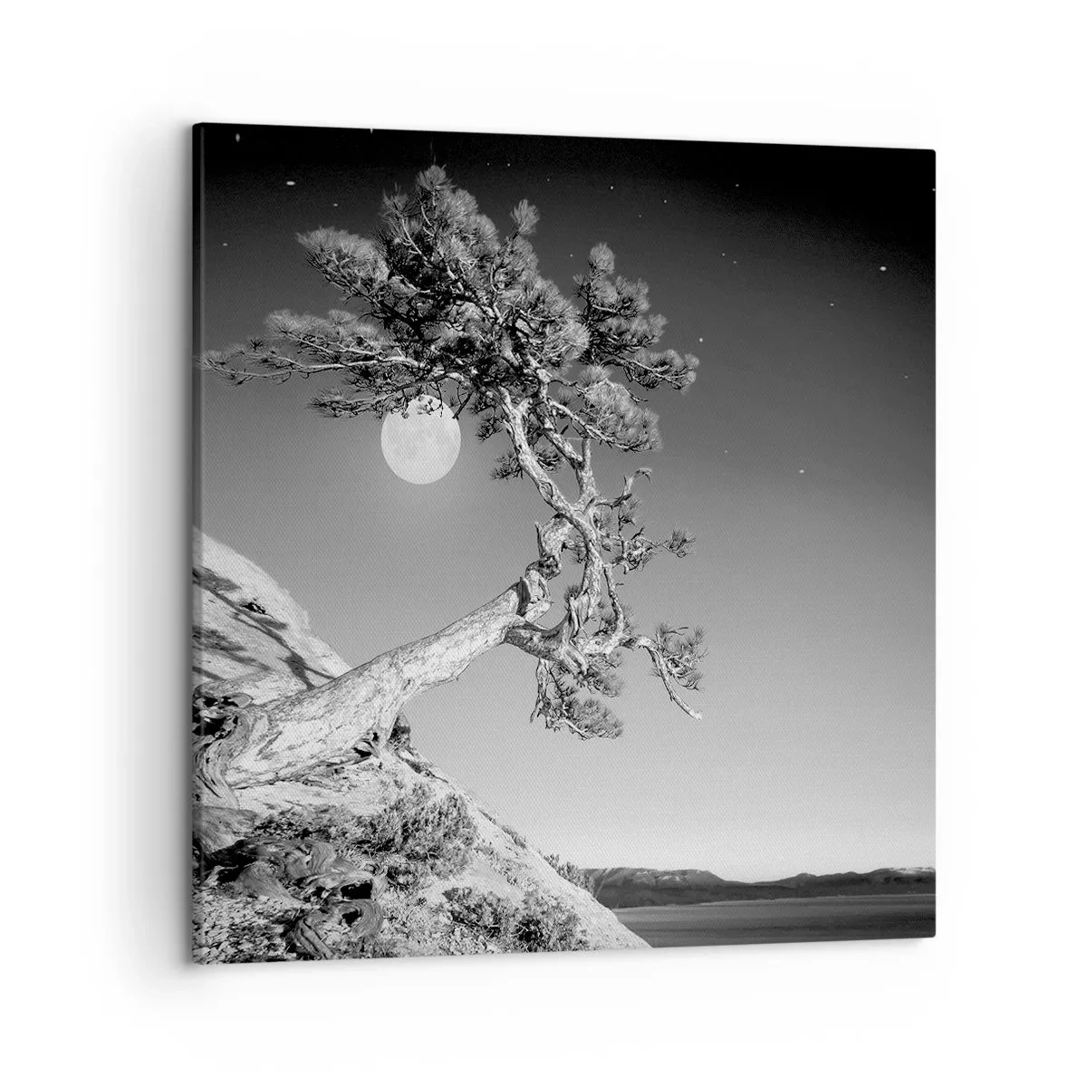 Tablou pe pânză - Războinicul victorios - 50x50 cm