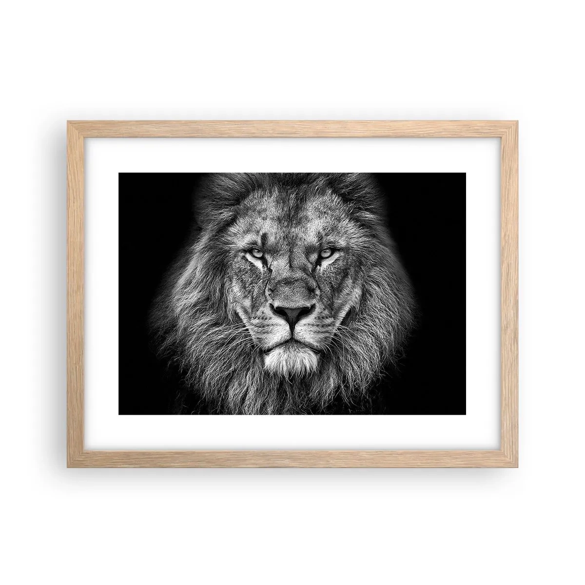 Poster în ramă de stejar deschis - În ținuta de încoronare - 40x30 cm