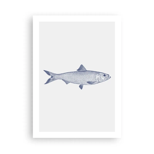 Poster - Salutări din mările nordice - 50x70 cm