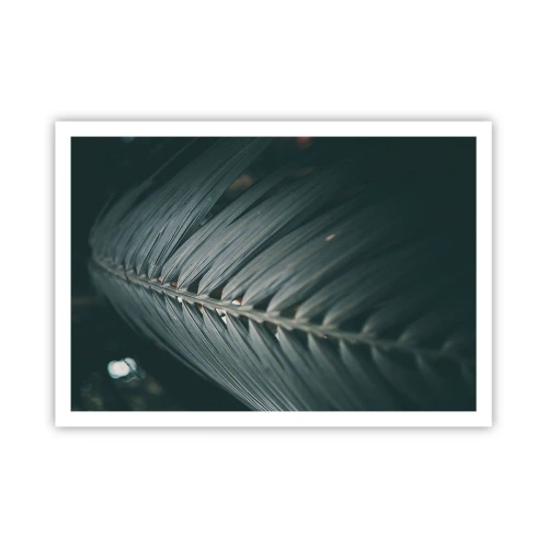 Poster - Precizia naturii - 100x70 cm