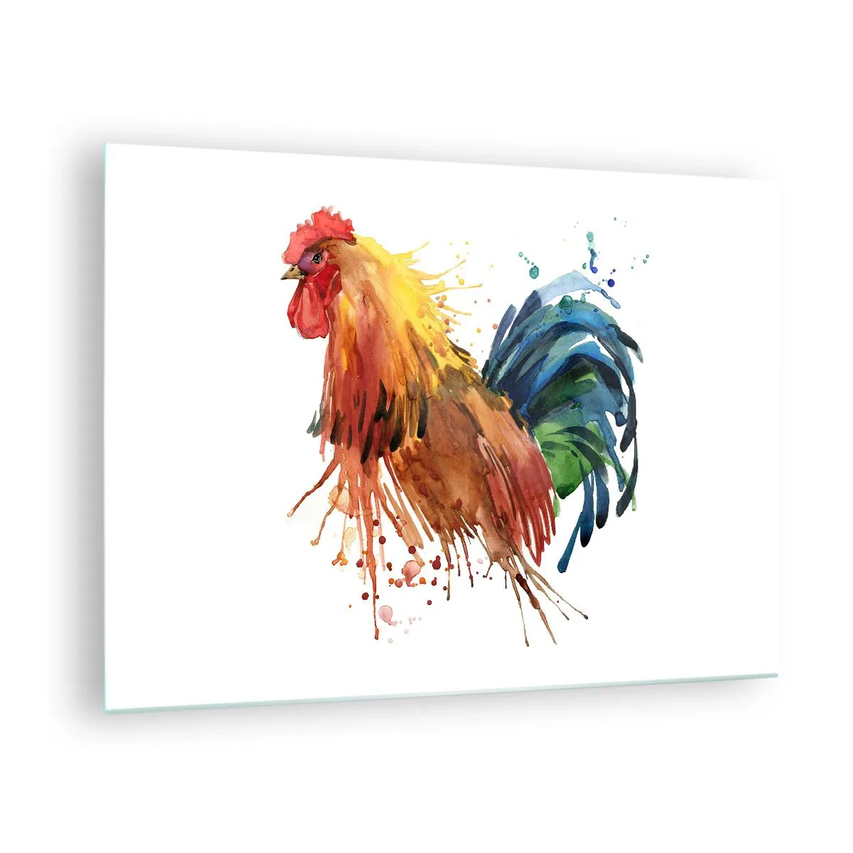 Tablou pe sticlă - Cocoș în acuarelă în culori vii pe fundal alb - 70x50cm - Haina regală, mândria regală - Decorațiune modernă pentru perete pentru living și dormitor ARTTOR