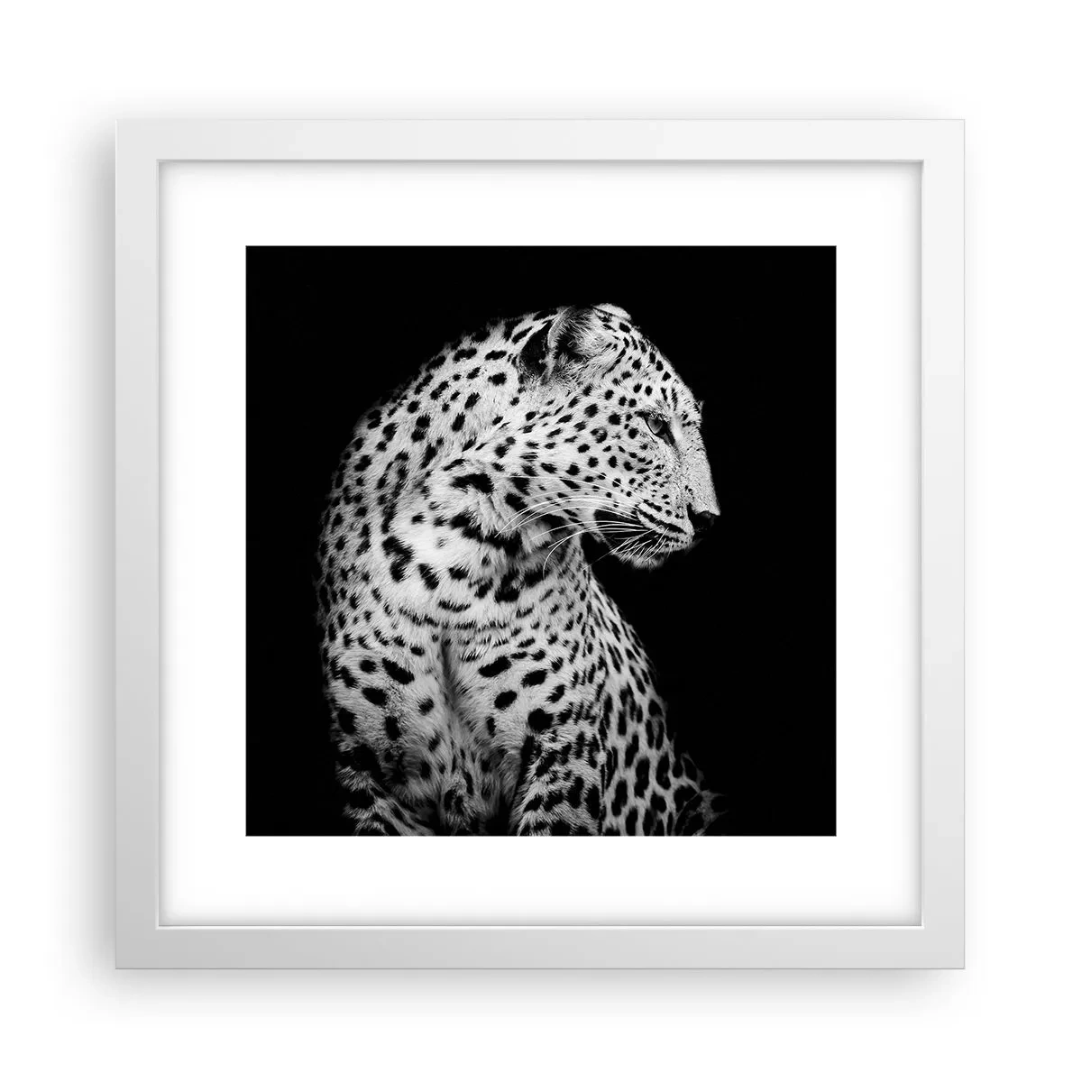 Poster în ramă albă - Profilul drept perfect! - 30x30 cm