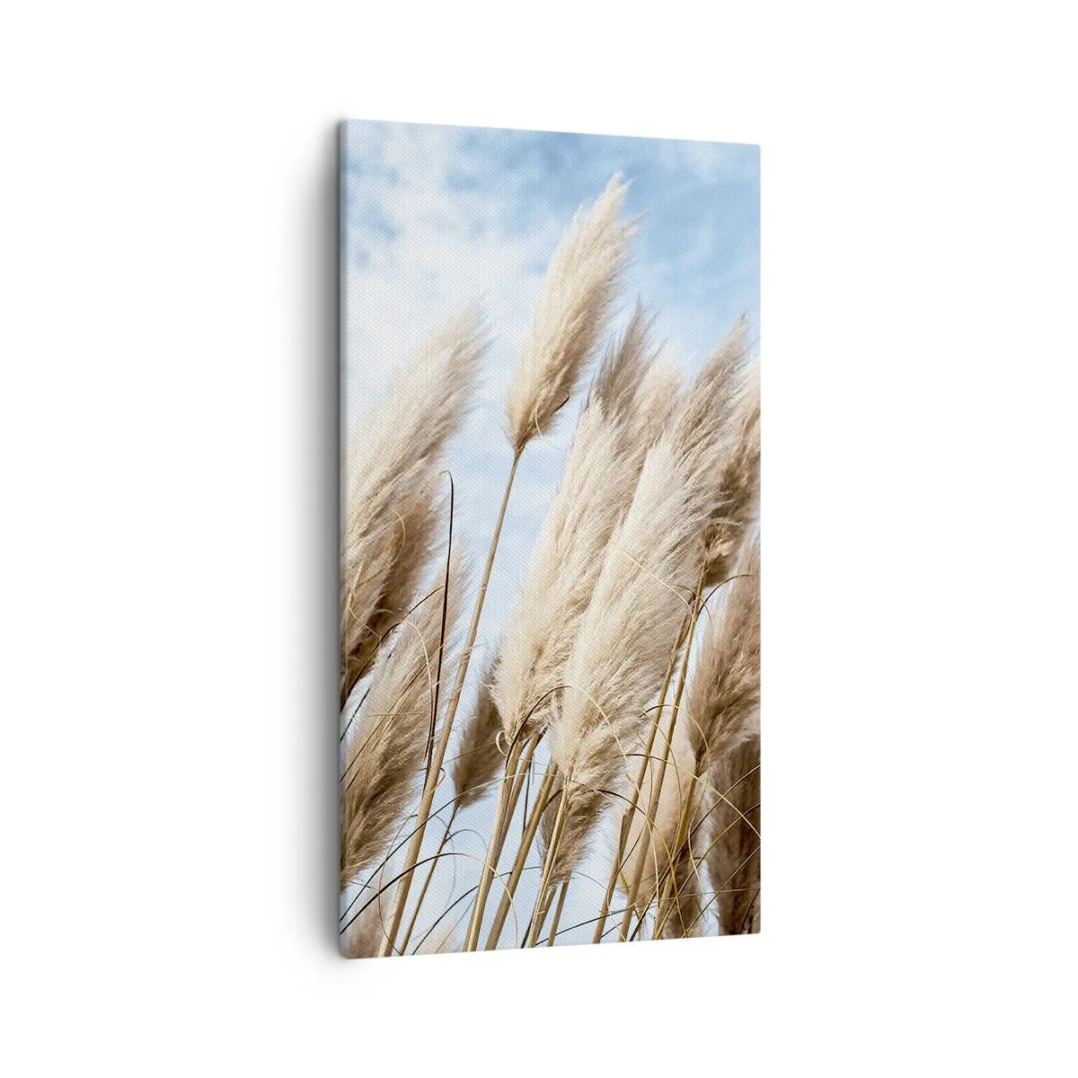 Tablou pe pânză - Mângâiere însorită și vântoasă - 45x80 cm
