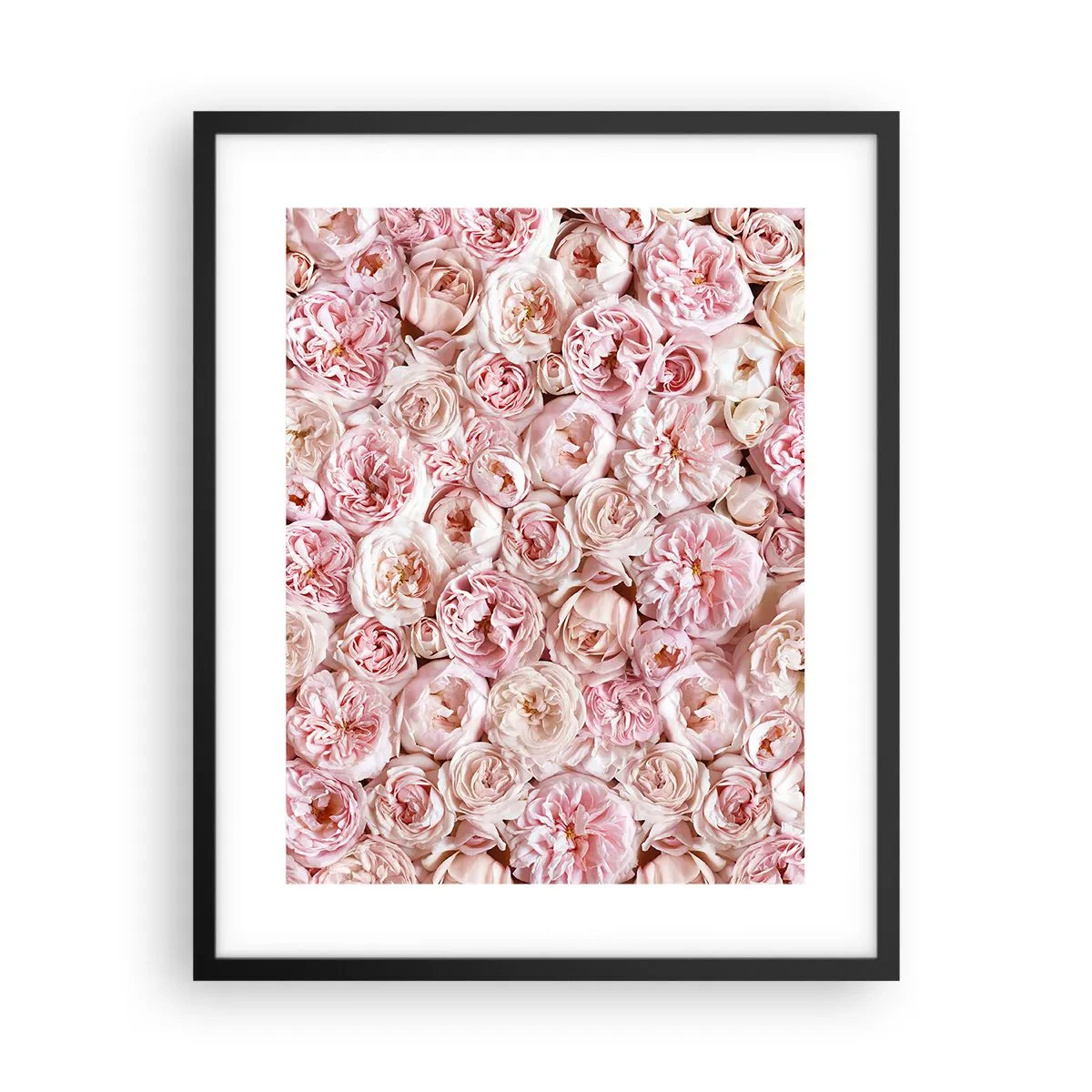 Poster în ramă neagră - Presărat cu trandafiri - 40x50 cm