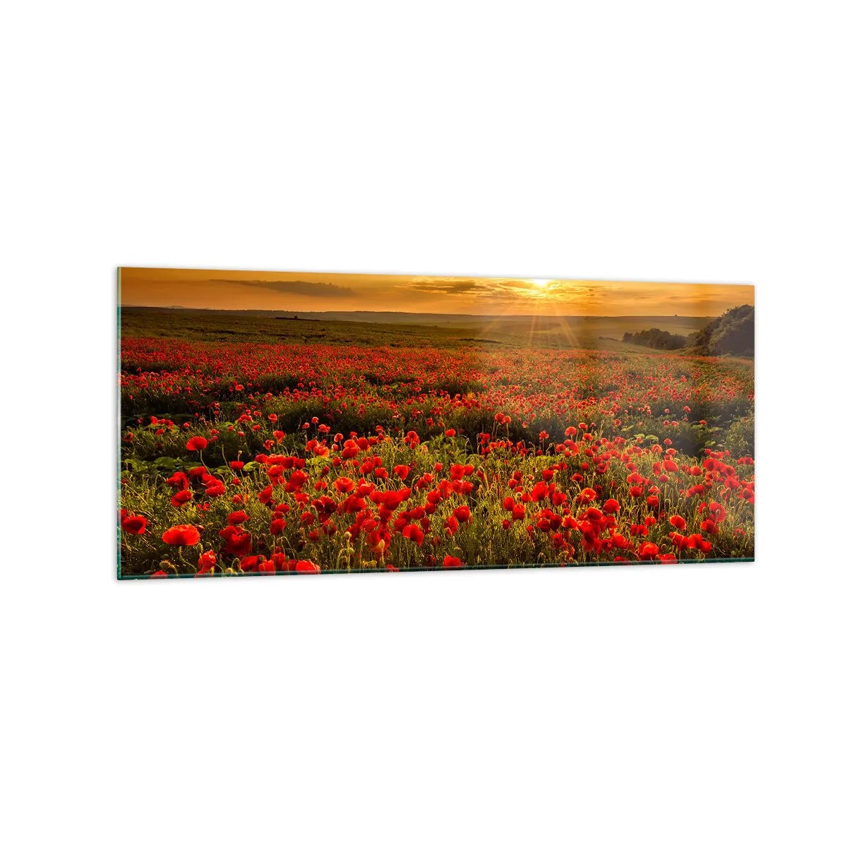 Tablou pe sticlă - Printre valuri de pajiști care zumzăie, printre potop de flori - 120x50 cm