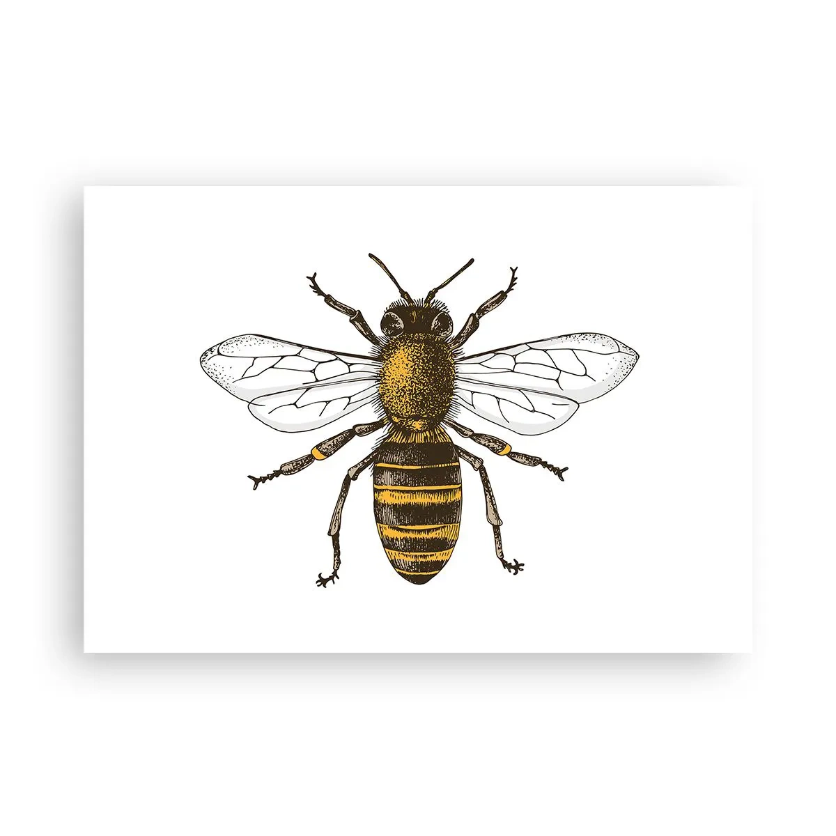 Poster - Frumoasă și bună - 100x70 cm