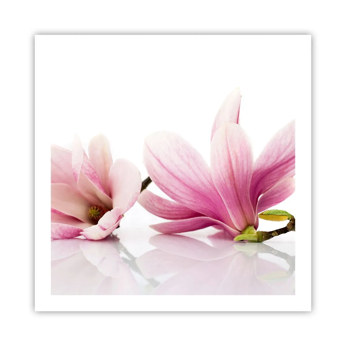 Poster - Delicate ca o adiere de primăvară - 60x60 cm