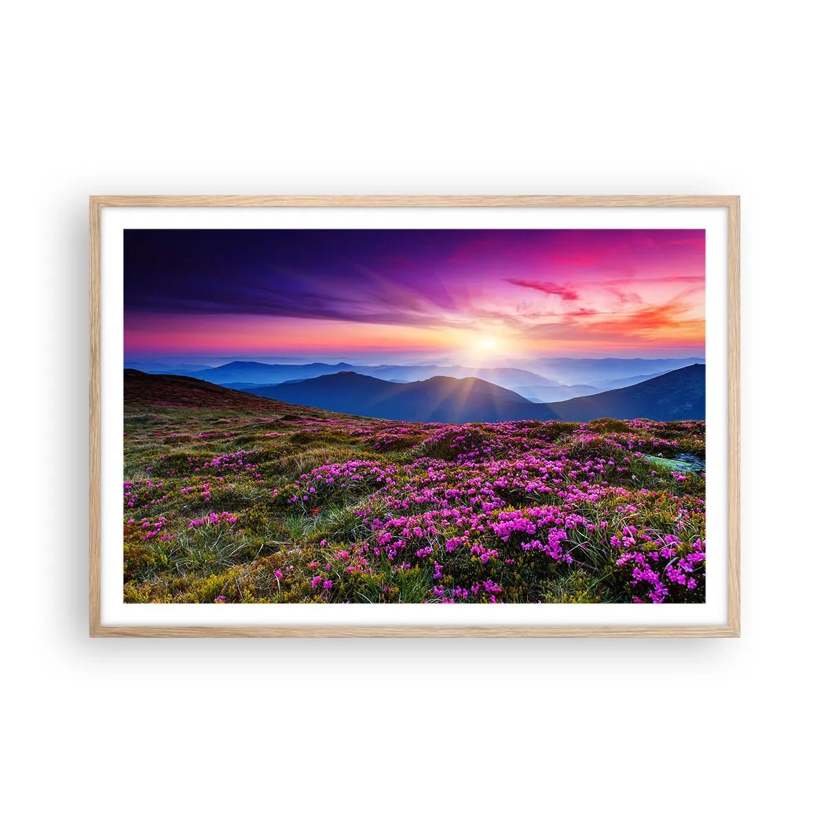 Poster în ramă de stejar deschis - Ierburile proaspete miroseau puternic - 91x61 cm