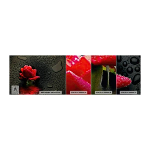 Mostră tapet Premium Canvas - Roșu și negru - Flori, Trandafir, Apă - 100x30 cm