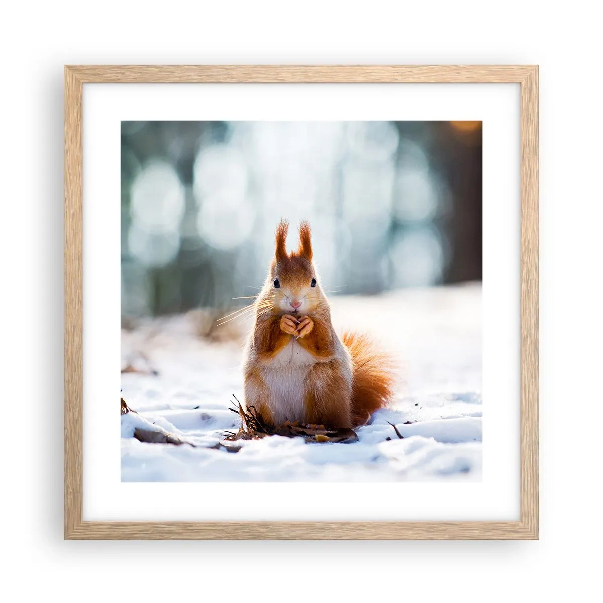 Poster în ramă de stejar deschis - Și la ce te uiți? - 40x40 cm