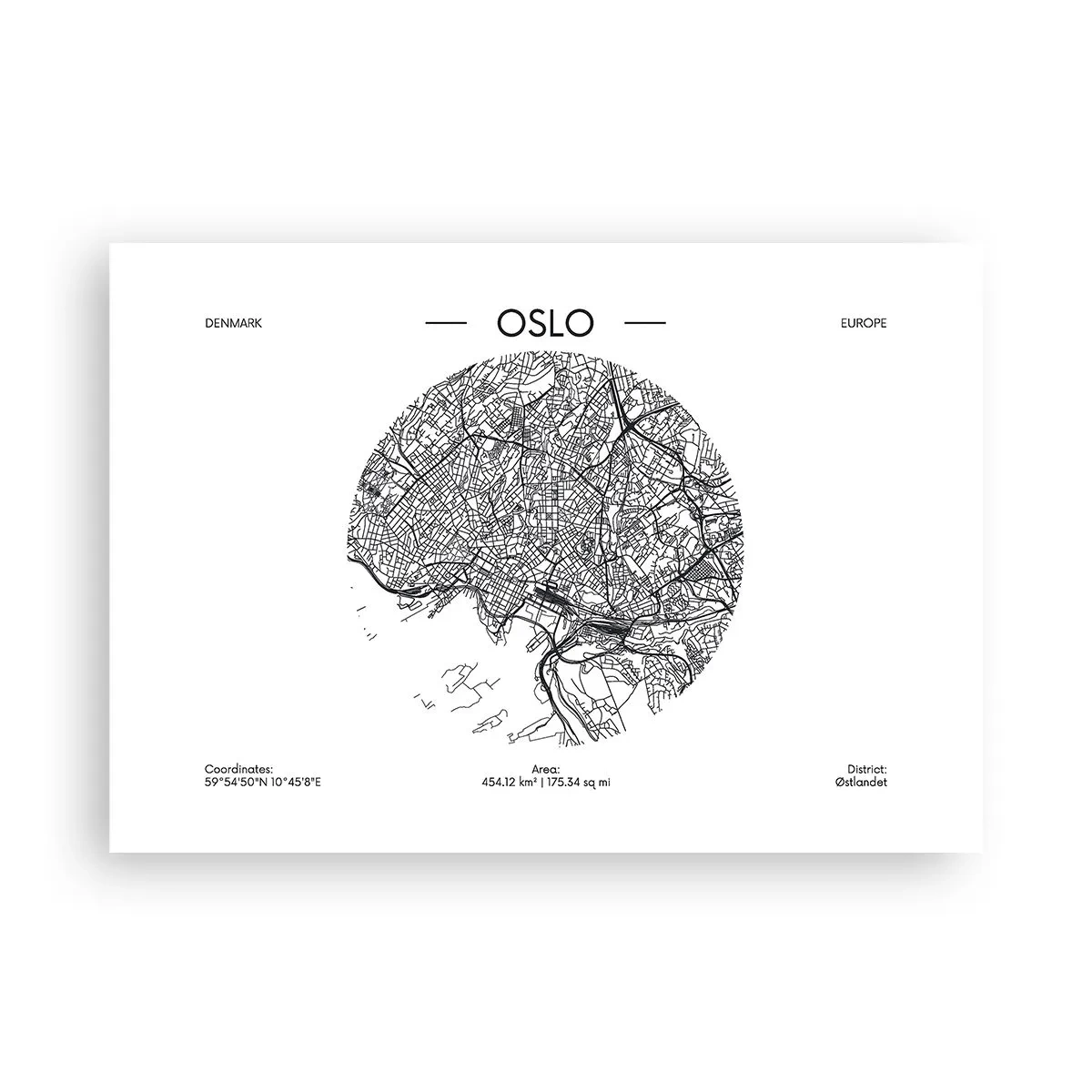 Poster - Anatomia Oslo - 100x70 cm