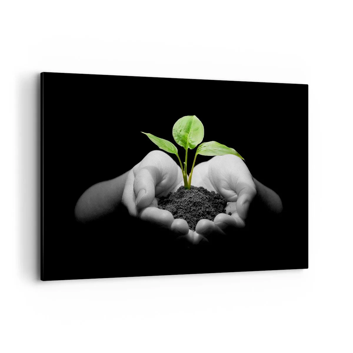 Tablou pe pânză - Iubesc natura, o protejez - 120x80 cm