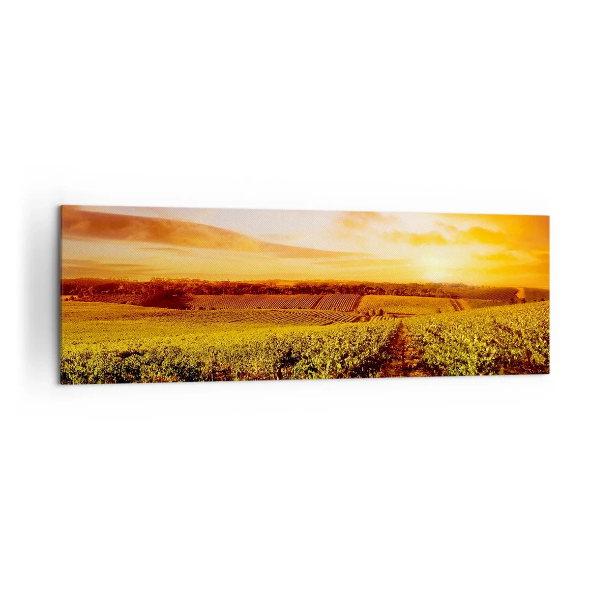 Tablou pe pânză - Cu un iz de fructe, cu o notă de soare - 160x50 cm