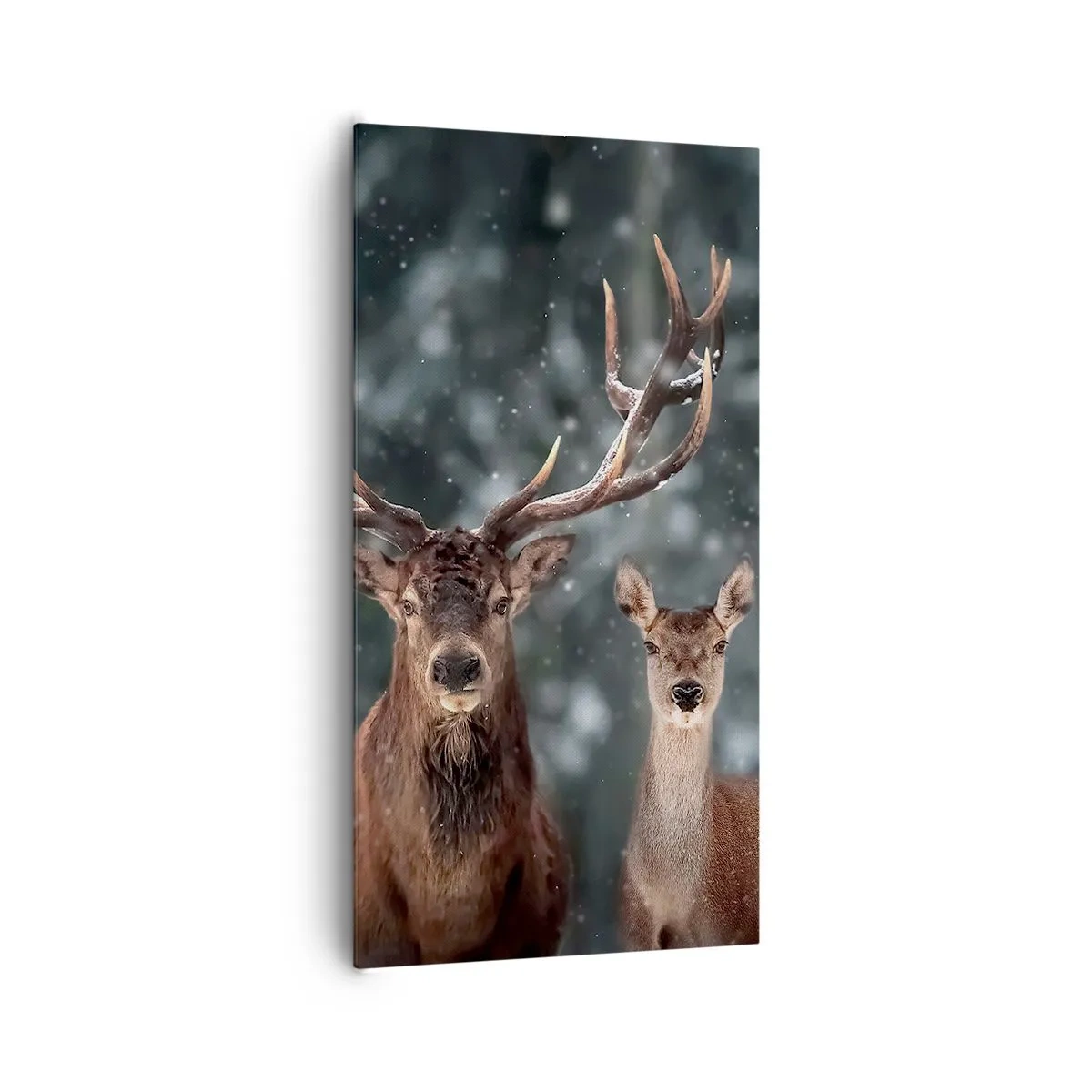 Tablou pe pânză - Stăpânul pădurii și soția sa - 65x120 cm