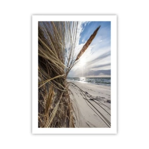 Poster - O întâlnire a elementelor - 50x70 cm