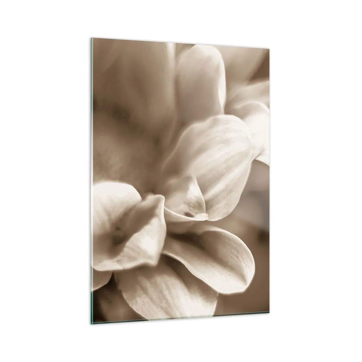 Tablou pe sticlă - Blânde ca un zâmbet - 50x70 cm