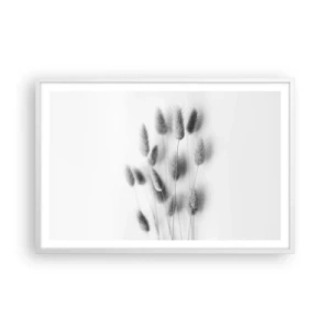 Poster în ramă albă - Pufoșenia ierbii - 91x61 cm