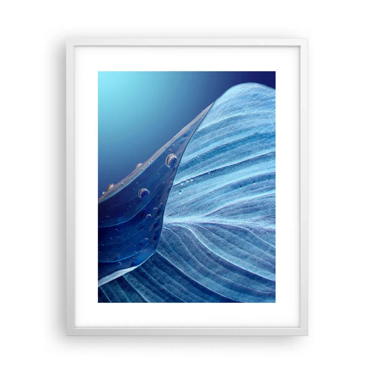 Poster în ramă albă - Picături ascunse de albastru - 40x50 cm