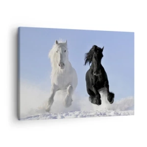 Tablou pe pânză Canvas - Un cal alb și unul negru galopând prin zăpadă - 70x50cm - Galop de alb și negru - Decorațiune modernă pentru perete pentru living și dormitor ARTTOR