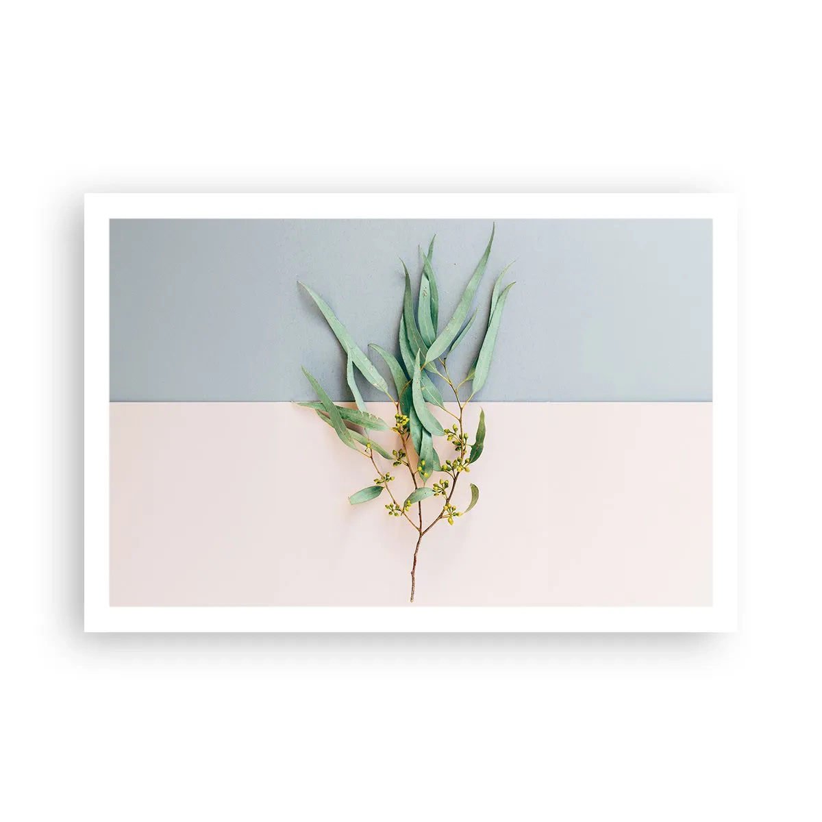 Poster - Subtilitate pastelată - 91x61 cm