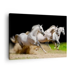 Tablou pe pânză Canvas - Trei cai albi galopând pe nisip și iarbă - 70x50cm - Trei Grații - Decorațiune modernă pentru perete pentru living și dormitor ARTTOR