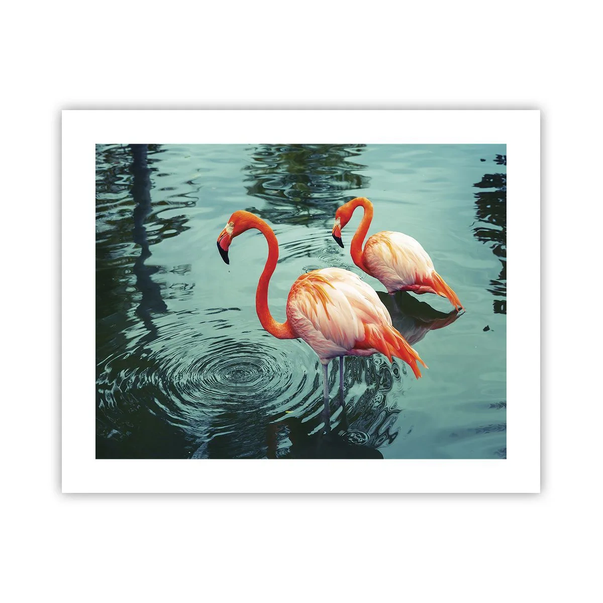 Poster - Suntem bune de revistele de modă - 50x40 cm
