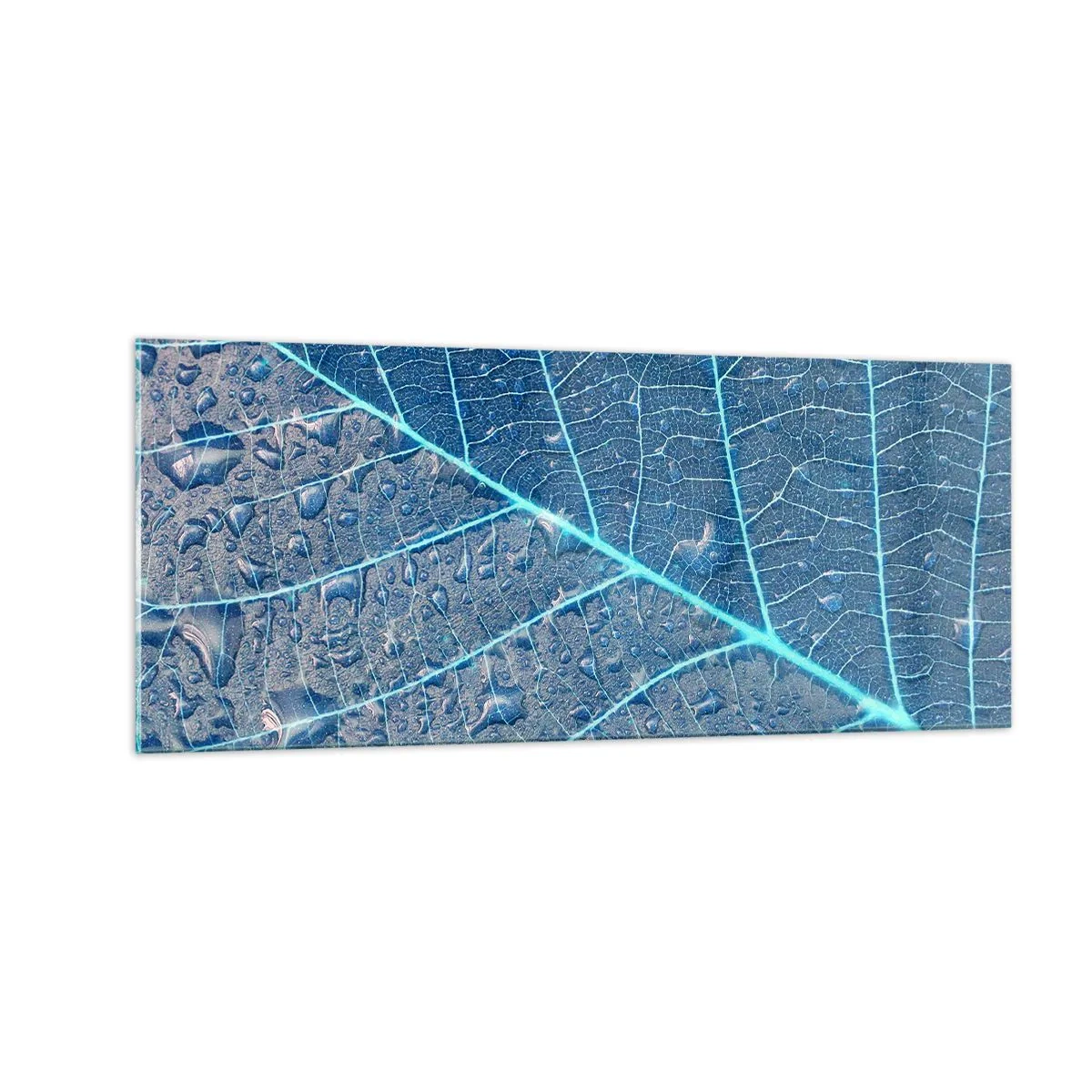 Tablou pe sticlă - Viața în albastru - 100x40 cm